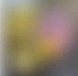 פרחים בקופסא