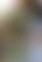 נועה בר Late Bloomer