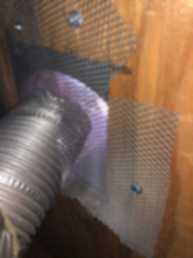image10.jpeg