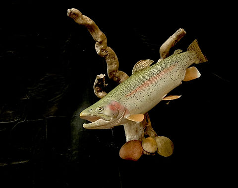 Custom Painted Rainbow Trout Replica For Sale