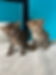 IMG_6526.jpeg