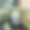 Thumbnail: Ceramic Plant Lover Lables