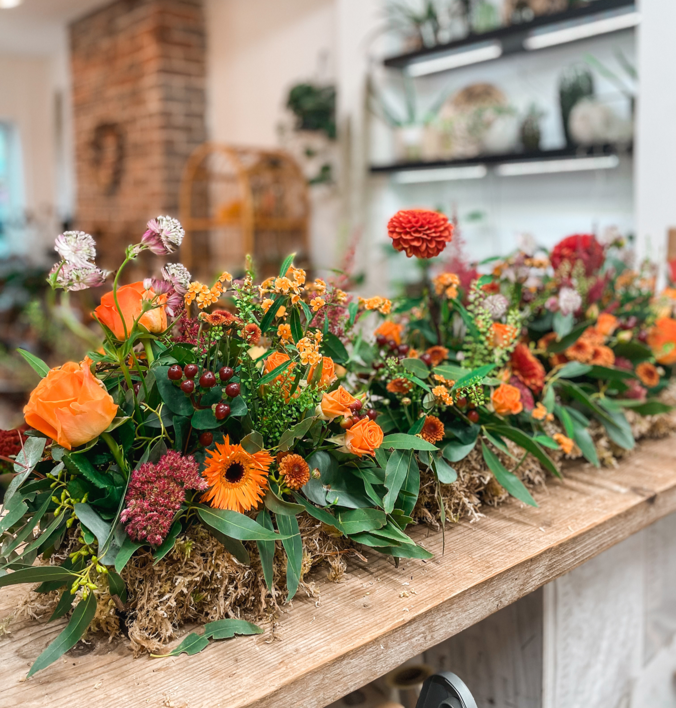Arranged Food and Objects