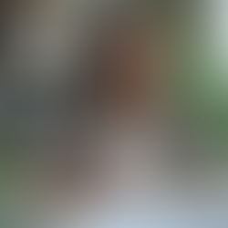 Navigating Menopause: Supportive Strategies for Employers