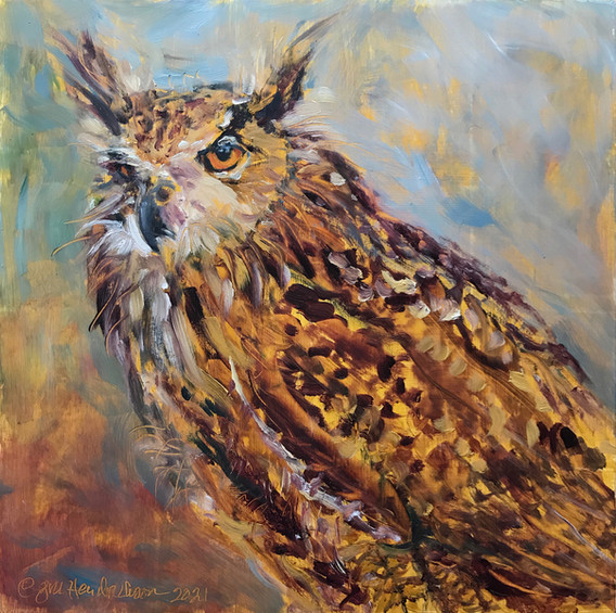 "Great Horned Owl"