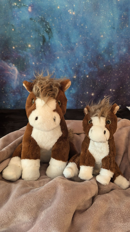 Organic Buckwheat Wild Mustang Horses