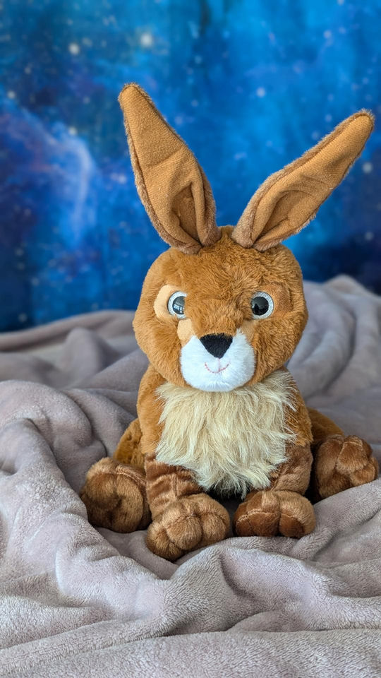 Organic buckwheat baby bunny