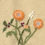 Thumbnail: MELON COLORED CASHMERE CARDIGAN - WOMEN'S MEDIUM