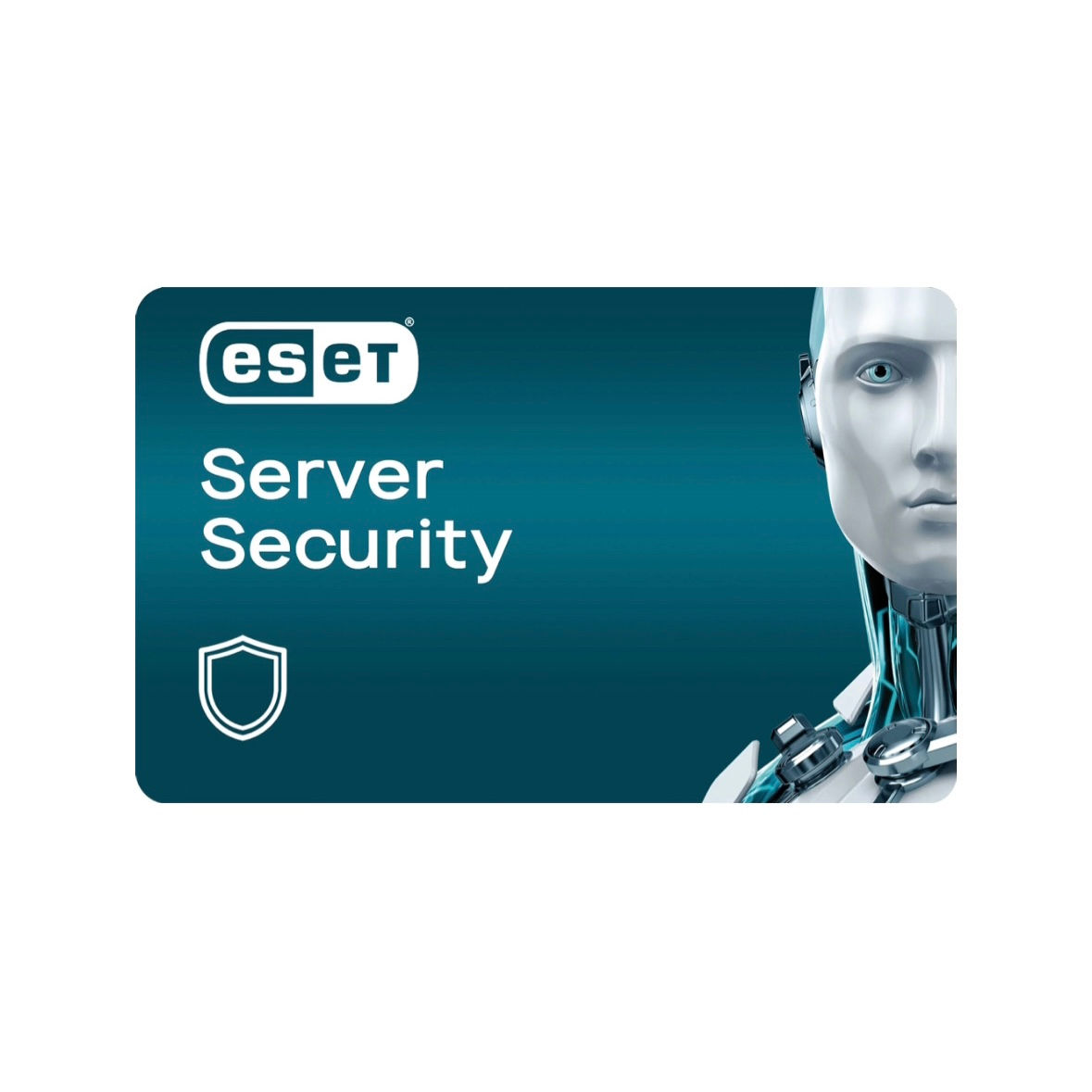 ESET Server Security 1 Device 1 Year Digital License Key Email Delivery