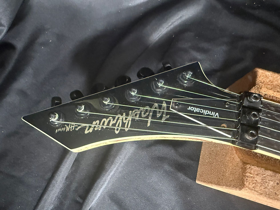 Thumbnail: 2008 Washburn Vindicator HM Series Scott Ian Signature - Blood Splatter