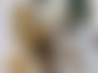 Drum Whisky: Cheese vs Chocolate - the battle