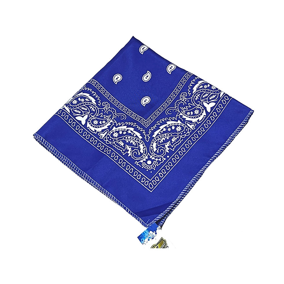 Bandana azul con estampado paisley