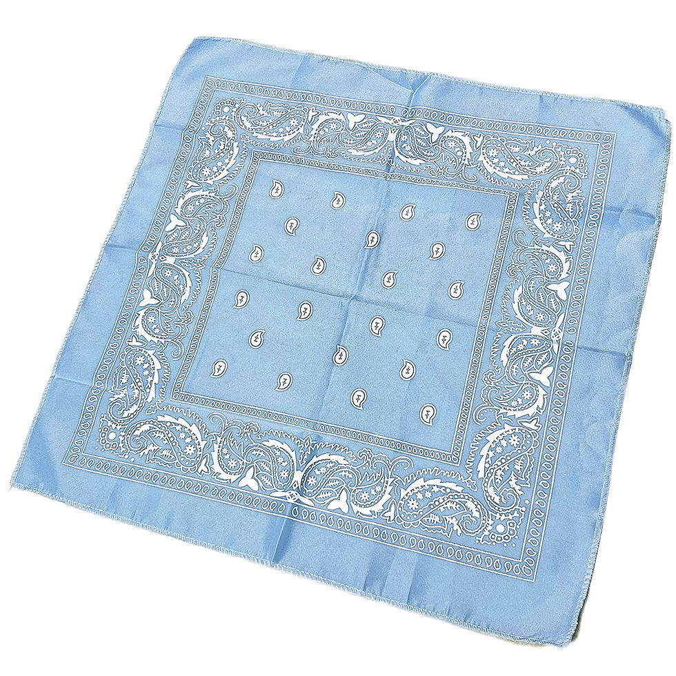 Miniatura: Bandana azul claro con estampado paisley
