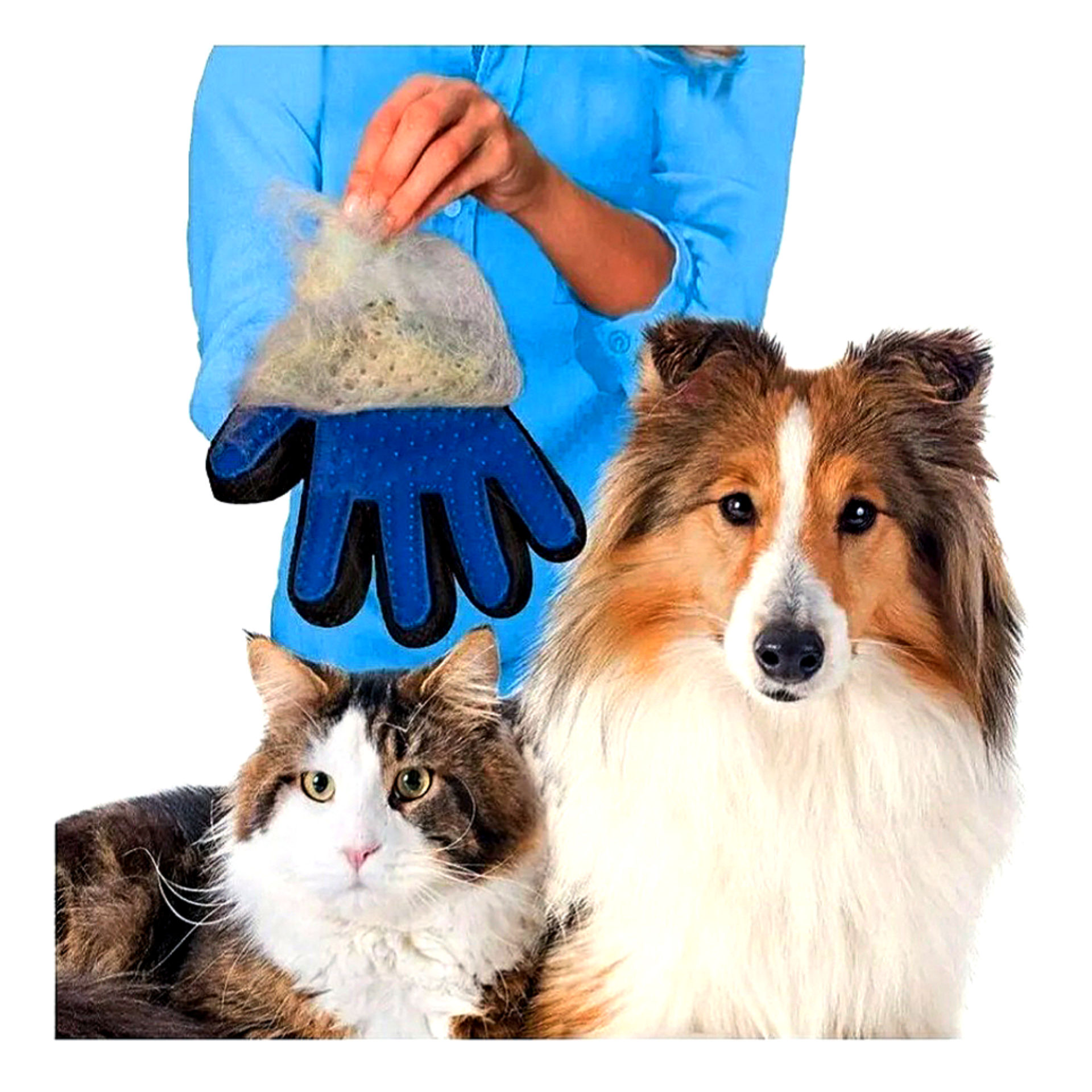 Guante para mascotas, recogiendo pelo de perro y gato