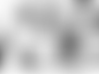 Se lancer dans la restauration