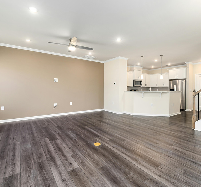 Basement Renovation