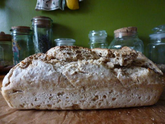 Pan integral 100 Bio