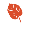 leaf-canopee_edited.png