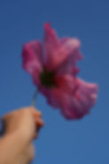 DSC06754.JPG