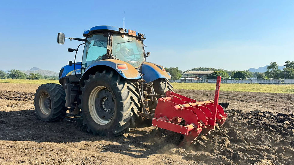 Soil Decompaction04