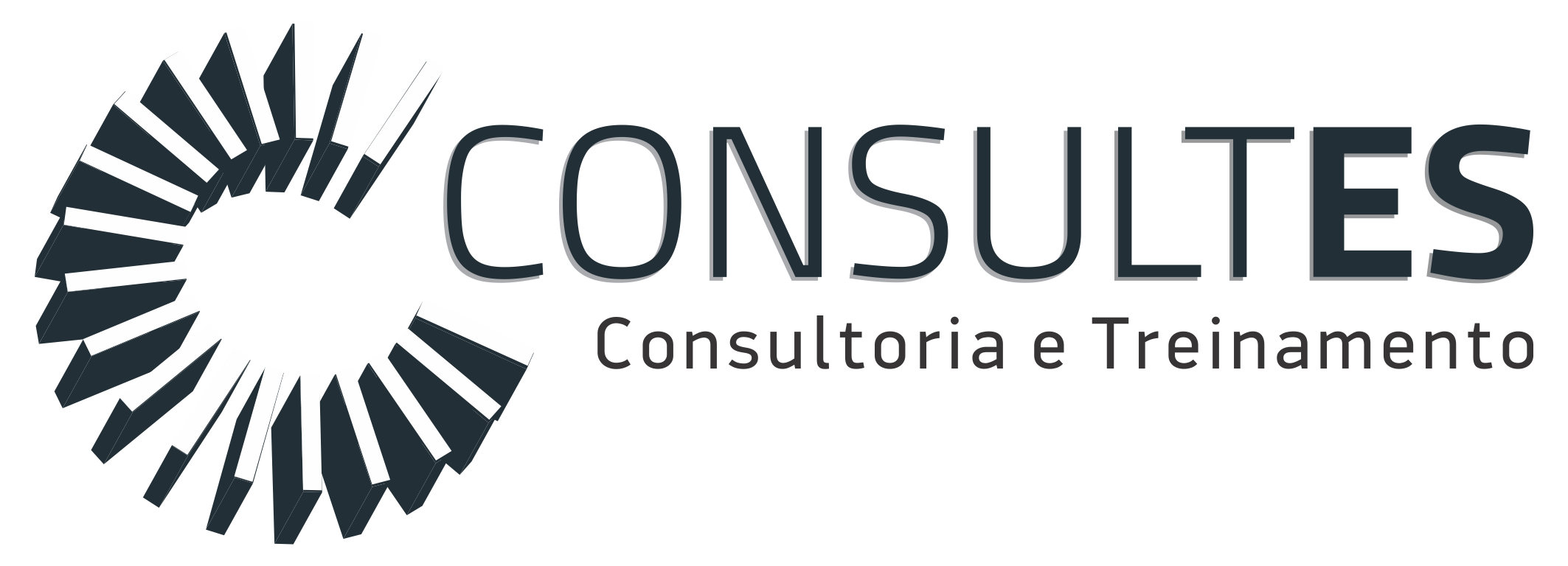Consultes Gestao Empresarial e Treinamento Ltda
