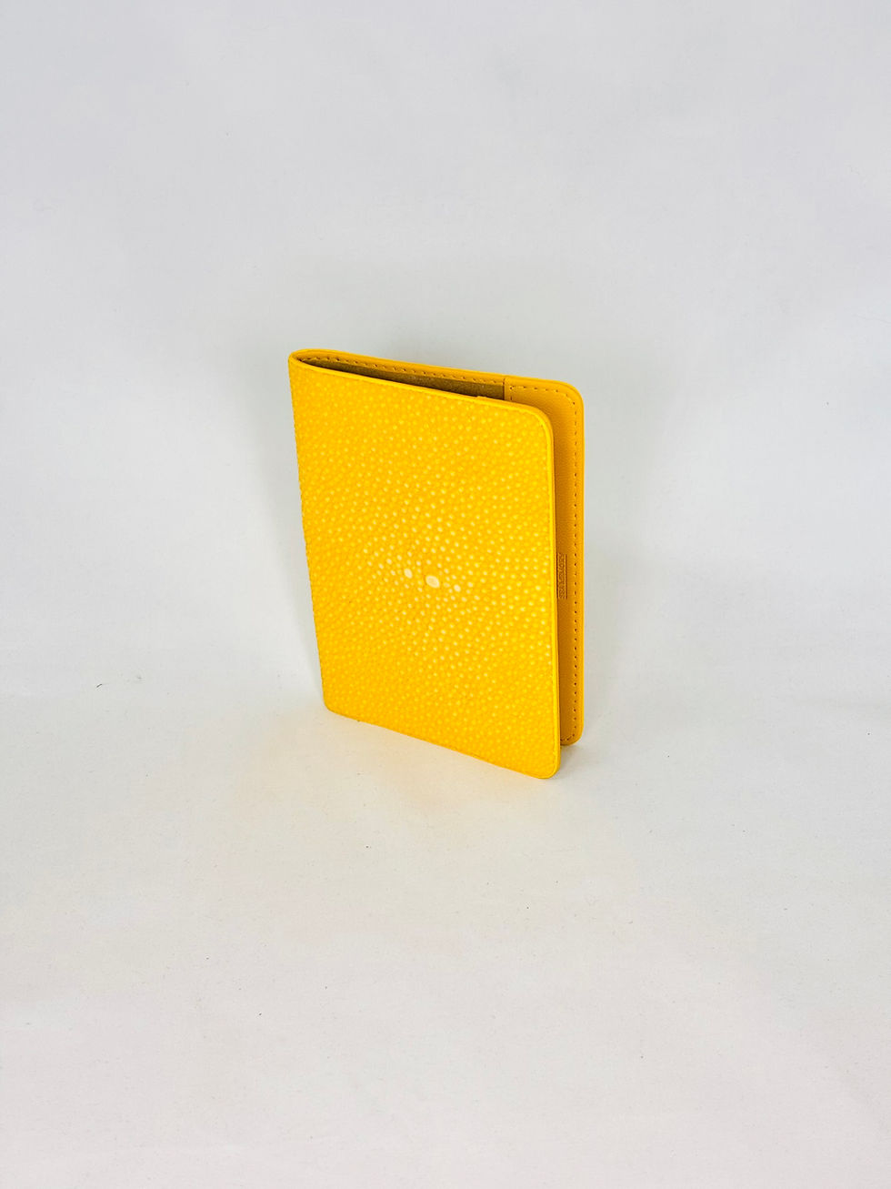 Thumbnail: Passeport Holder