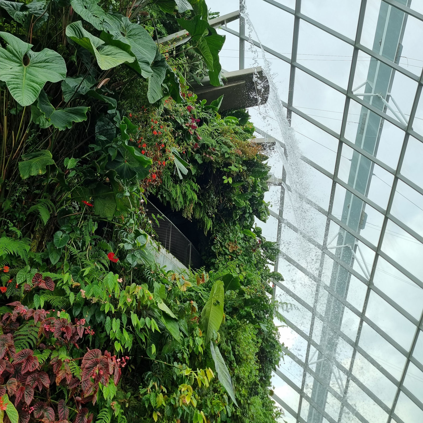 Gardens by the Bay Singapore