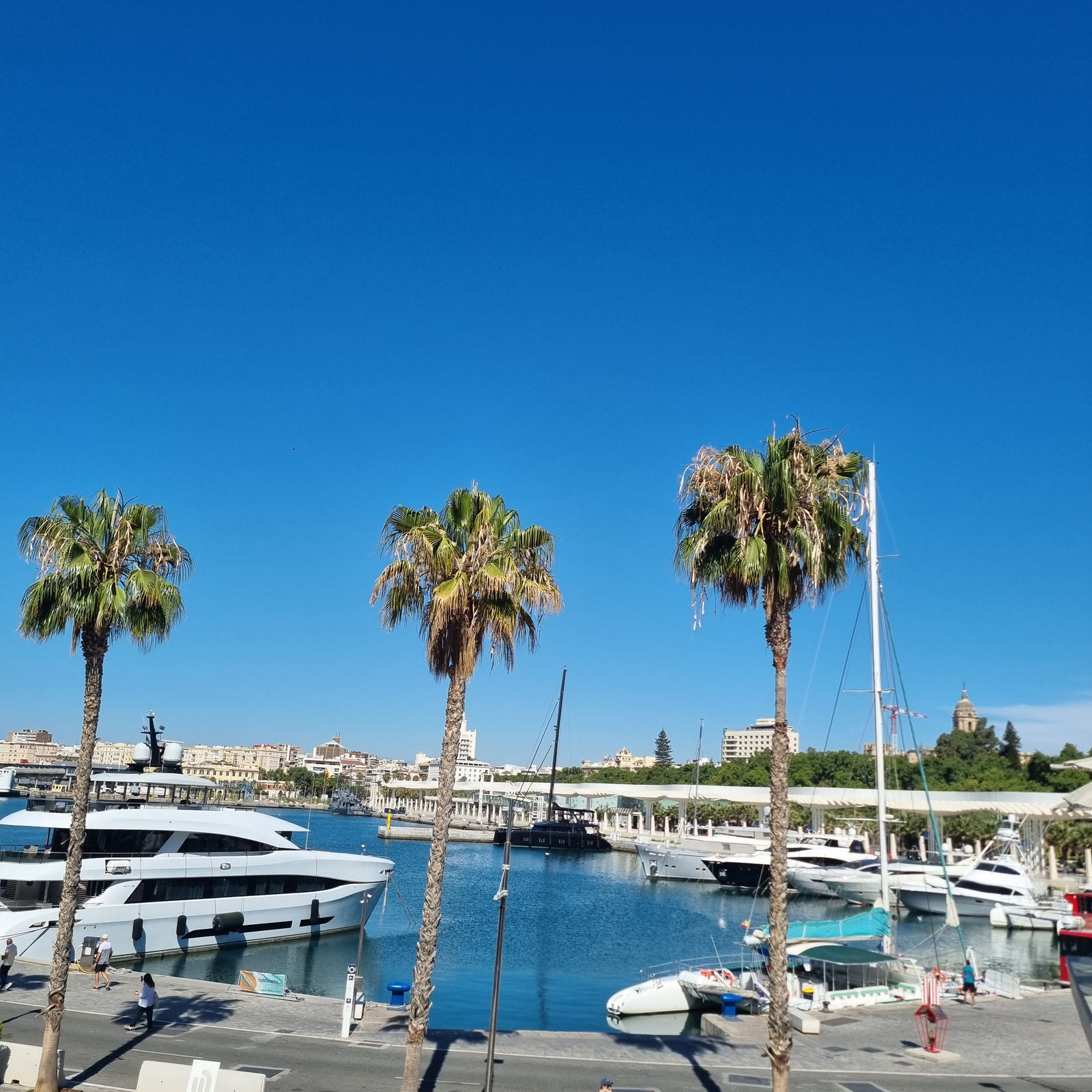 Málaga on Spain's Costa del Sol