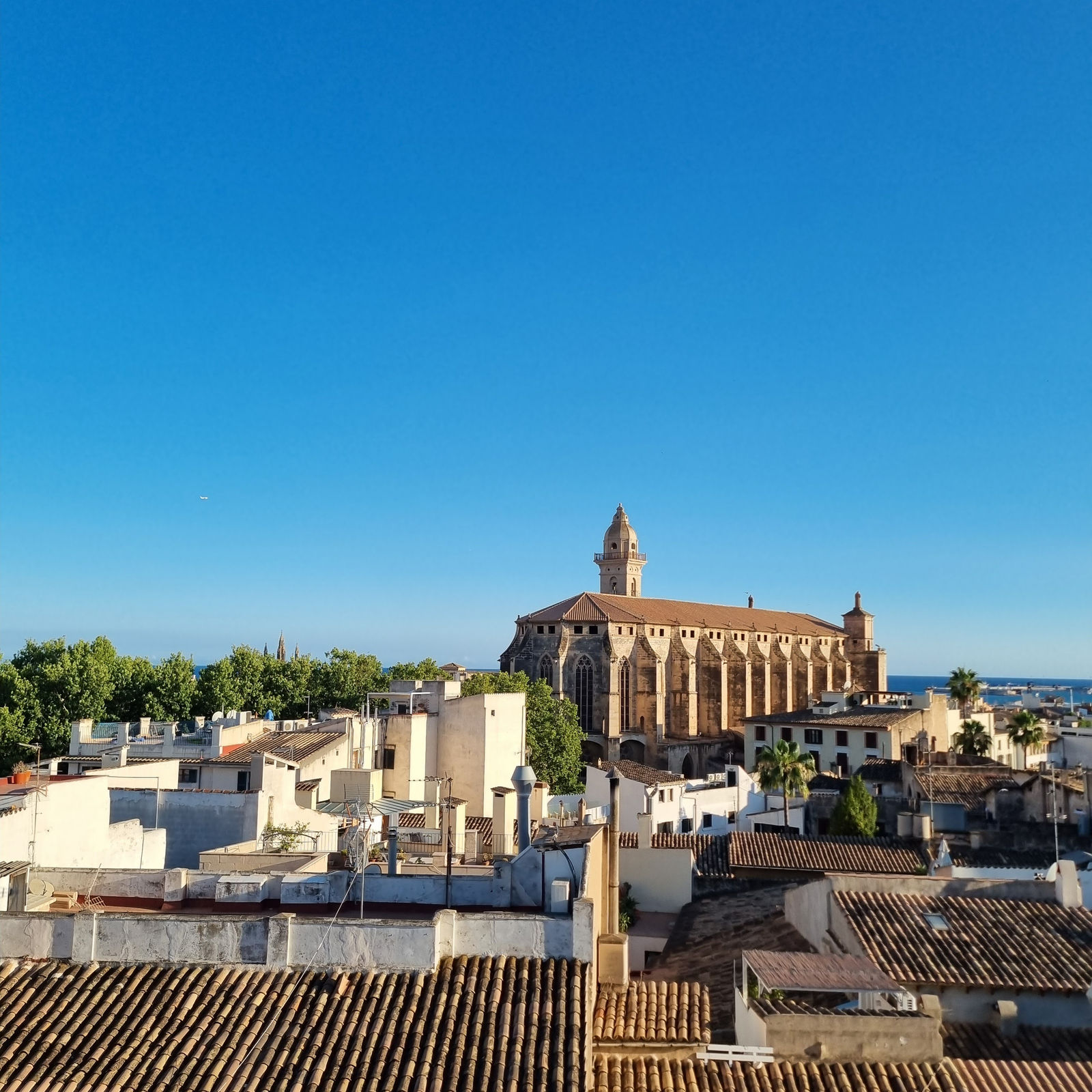 Palma, Mallorca, rooftop view