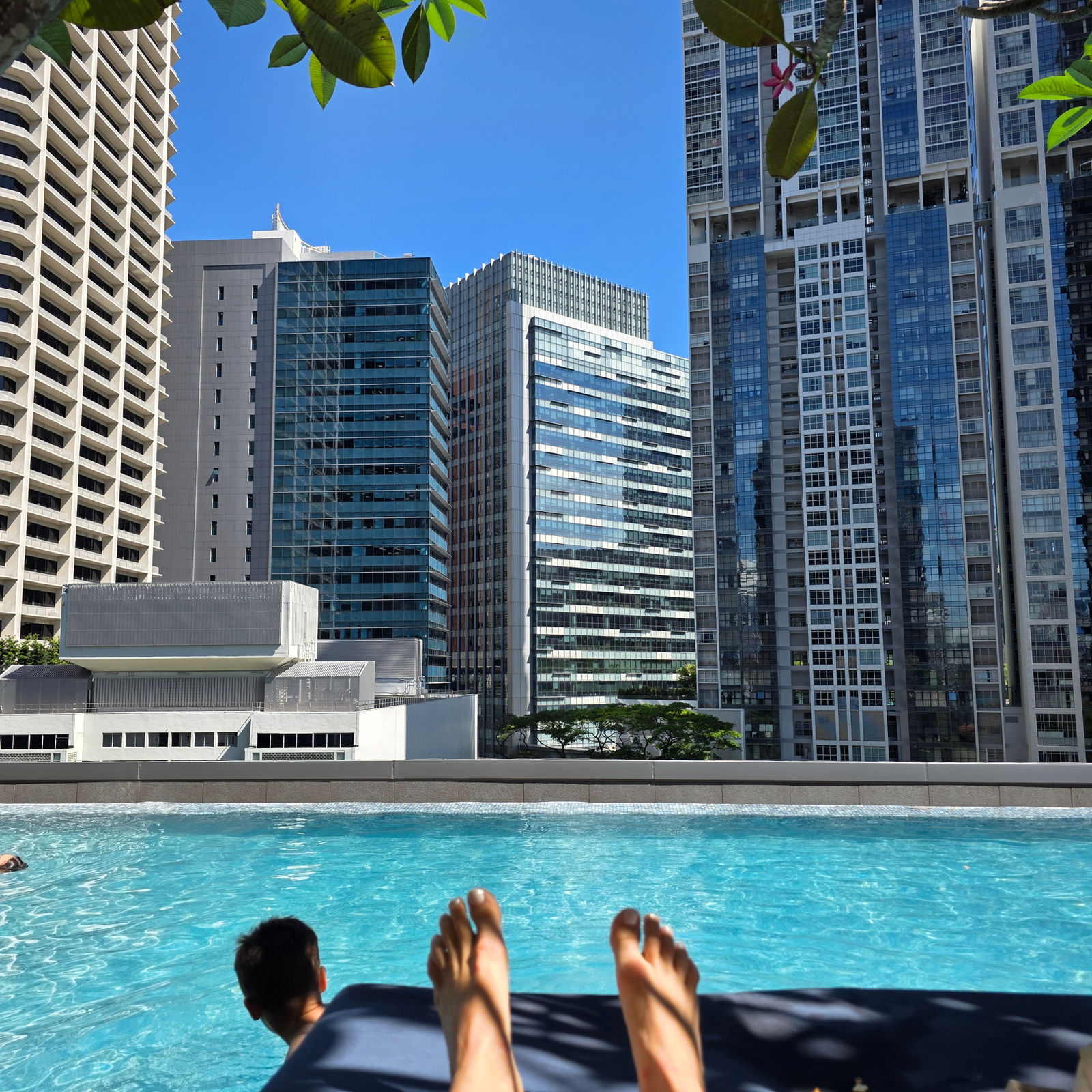 Sofitel Singapore pool