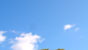 814ライブ「My Precious vol.1」までカウントダウン---21日^^