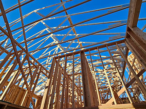le37 trusses.JPG