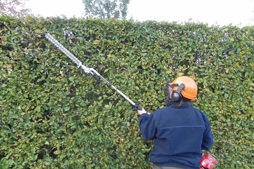 Handheld hedge trimmer.gif