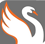 Swan Training Health and Safety Training Courses