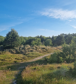 Dünenweg.jpg