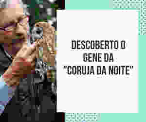 Descorberto gene da coruja da noite
