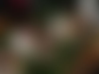 Idées cadeaux pour épicuriens – Offrez le goût raffiné avec Sous les Oliviers