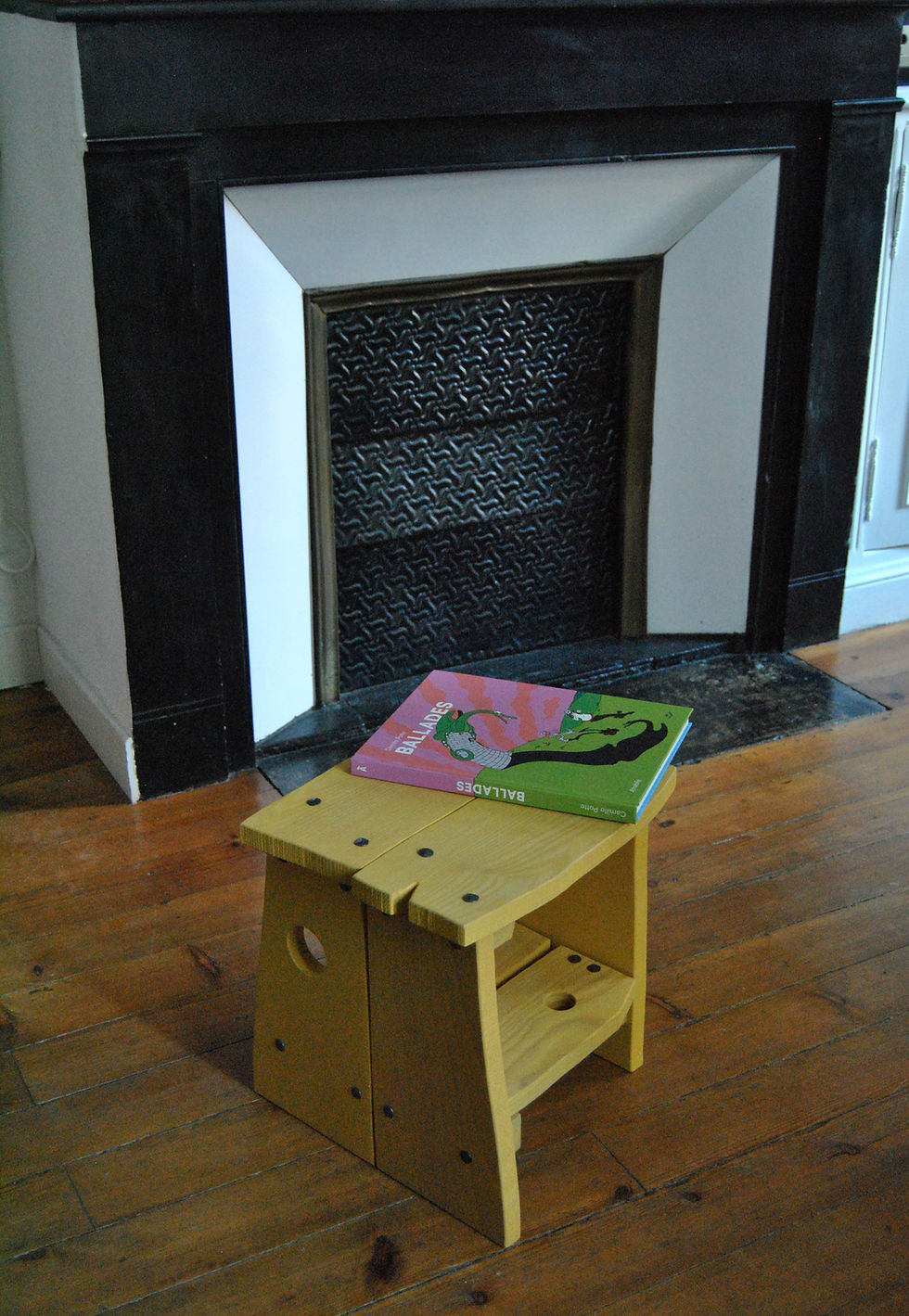 Miniature : Mimosa Pionnier