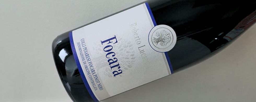 Focara Pinot Nero 2020
