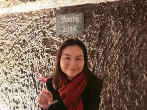 Clos Rougeard - Listening to Wine Beneath the Surface