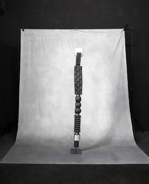 Warrior IV Profil.jpg