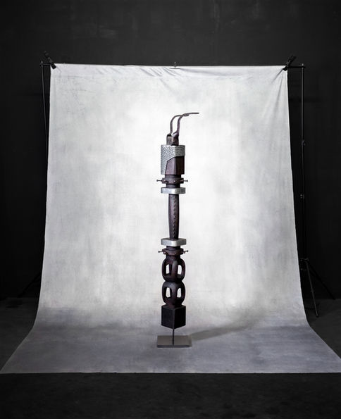 Warrior XII Profil.jpg