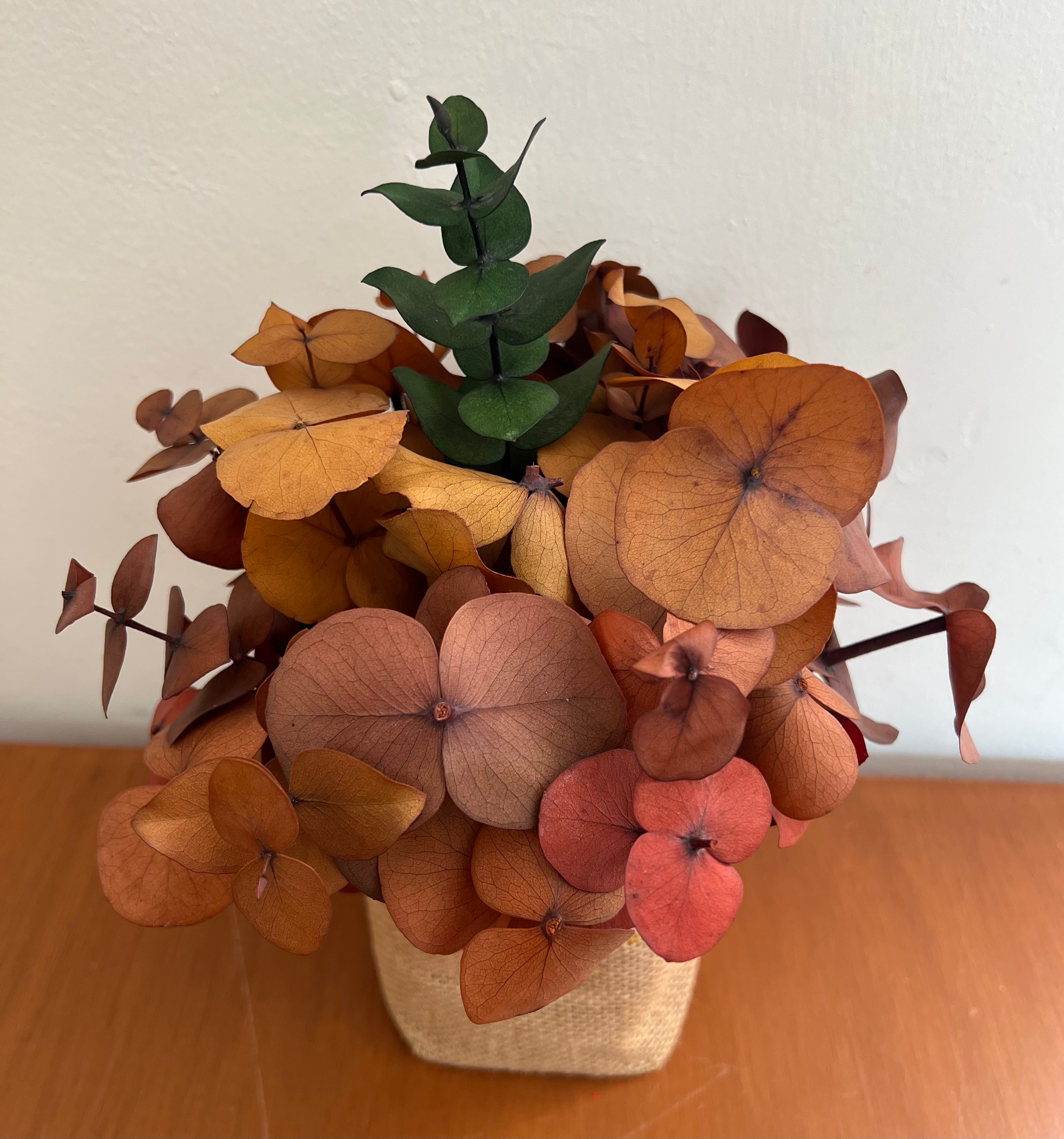 Arreglo otoño dólar.