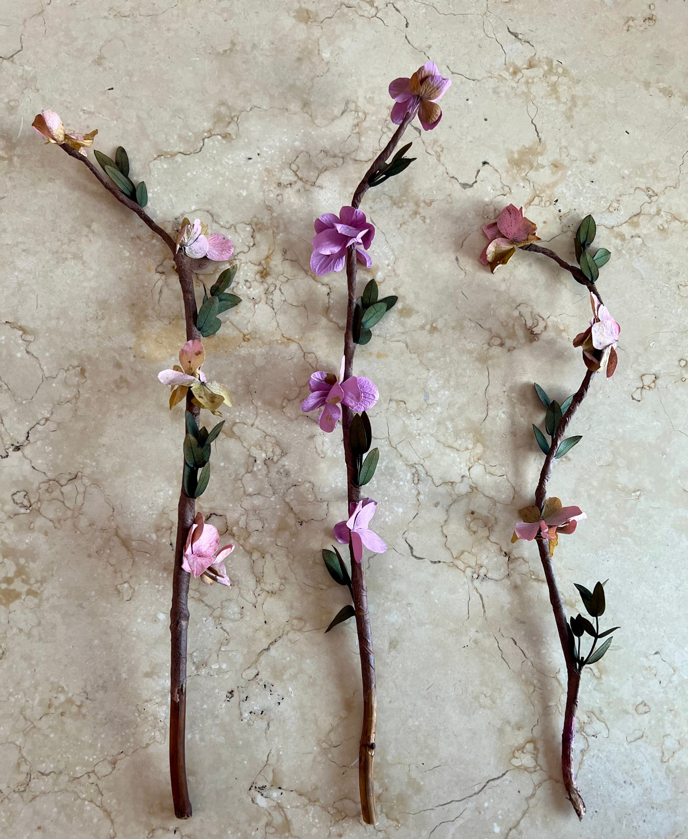 Vara de hortensia.