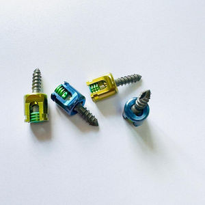 Lateral Masses Screws