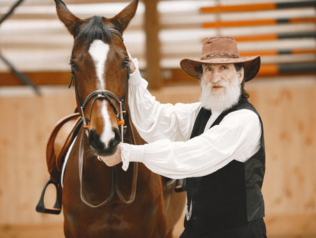 How A Bloodstock Agent Impacts The Success Of Racehorses?