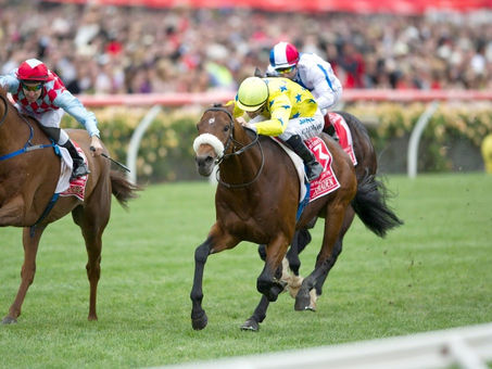 How To Choose The Right Race Horse Syndicate For You?