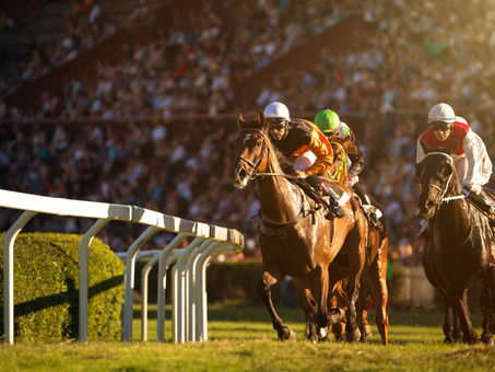 What Should You Know Before You Buy a Racehorse?