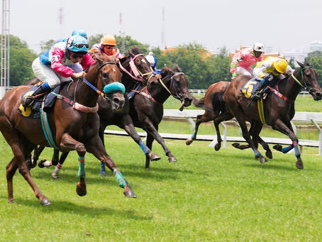  Why Race Horse Syndication Is Ideal For Horse Racing Enthusiasts?
