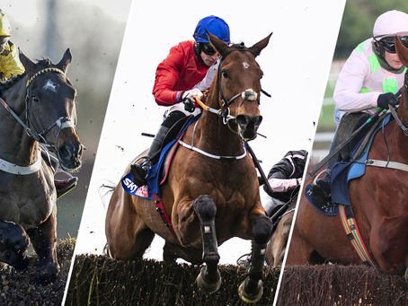 How Do Bloodstock Agents Impact the Success of Racehorses?